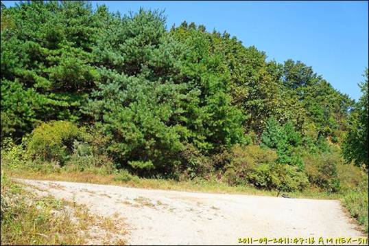 ¼³¸í: R:\photos\2011\0924\DSC00782.jpg