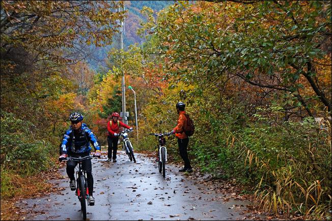 ¼³¸í: E:\photos\2011-10-22 ¾Ë¼¥È¨Ä¿¹Öµ¥ÀÌ\edit\DSC01101.JPG