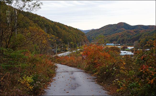 ¼³¸í: E:\photos\2011-10-22 ¾Ë¼¥È¨Ä¿¹Öµ¥ÀÌ\edit\DSC01193.JPG