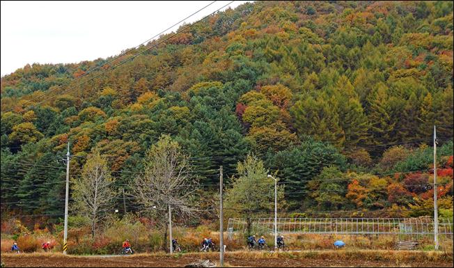 ¼³¸í: E:\photos\2011-10-22 ¾Ë¼¥È¨Ä¿¹Öµ¥ÀÌ\edit\DSC01195.JPG