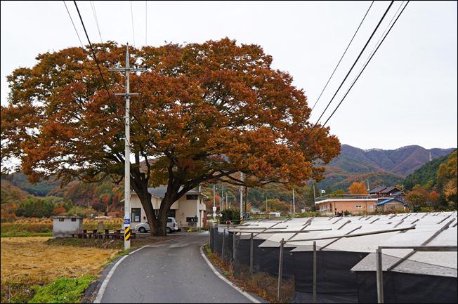 ¼³¸í: E:\photos\2011-10-22 ¾Ë¼¥È¨Ä¿¹Öµ¥ÀÌ\edit\DSC01199.JPG