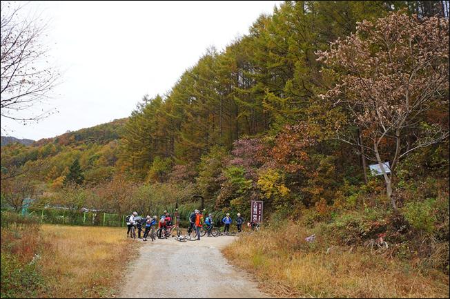 ¼³¸í: E:\photos\2011-10-22 ¾Ë¼¥È¨Ä¿¹Öµ¥ÀÌ\edit\DSC01207.JPG