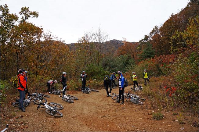 ¼³¸í: E:\photos\2011-10-22 ¾Ë¼¥È¨Ä¿¹Öµ¥ÀÌ\edit\DSC01216.JPG