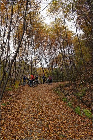 ¼³¸í: E:\photos\2011-10-22 ¾Ë¼¥È¨Ä¿¹Öµ¥ÀÌ\edit\DSC01291.JPG