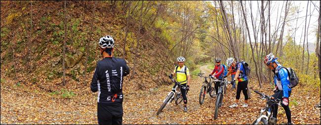 ¼³¸í: E:\photos\2011-10-22 ¾Ë¼¥È¨Ä¿¹Öµ¥ÀÌ\edit\DSC01305.JPG