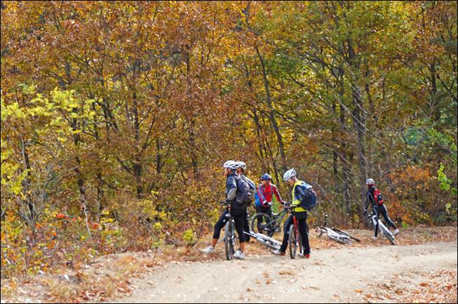 ¼³¸í: E:\photos\2011-10-22 ¾Ë¼¥È¨Ä¿¹Öµ¥ÀÌ\edit\DSC01352.JPG