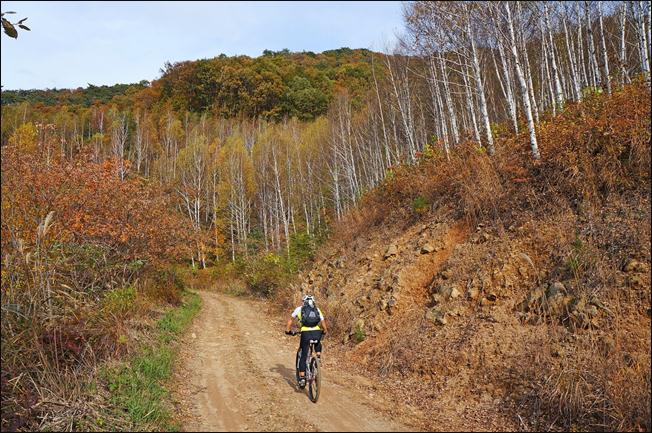 ¼³¸í: E:\photos\2011-10-22 ¾Ë¼¥È¨Ä¿¹Öµ¥ÀÌ\edit\DSC01357.JPG