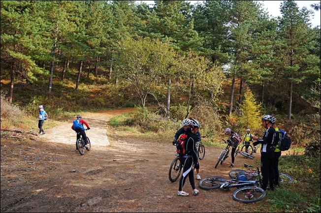 ¼³¸í: E:\photos\2011-10-22 ¾Ë¼¥È¨Ä¿¹Öµ¥ÀÌ\edit\DSC01359.JPG