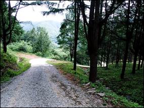 ����: ����: D:\Photos\2013\2013-08-15_�縲����ȯ\output\P8150023.JPG