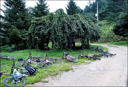 ����: ����: D:\Photos\2013\2013-08-15_�縲����ȯ\output\P8150026.JPG