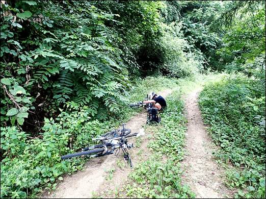 ����: ����: D:\Photos\2013\2013-08-15_�縲����ȯ\output\P8150030.JPG