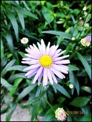 ����: ����: ����: D:\Photos\2013\2013-08-24_��ɻ��ȯ\output\P8240017.JPG