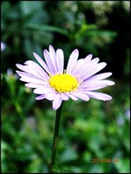 ����: ����: ����: D:\Photos\2013\2013-08-24_��ɻ��ȯ\output\P8240019.JPG