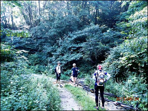 ����: ����: ����: D:\Photos\2013\2013-08-24_��ɻ��ȯ\output\P8240039.JPG