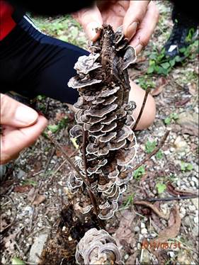 ����: ����: ����: ����: D:\Photos\2013\2013-08-31_����_��ġ�ɼ�ȯ\output_1024\P8310026.JPG