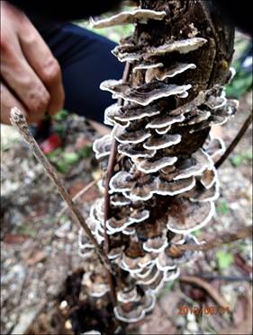 ����: ����: ����: ����: D:\Photos\2013\2013-08-31_����_��ġ�ɼ�ȯ\output_1024\P8310027.JPG