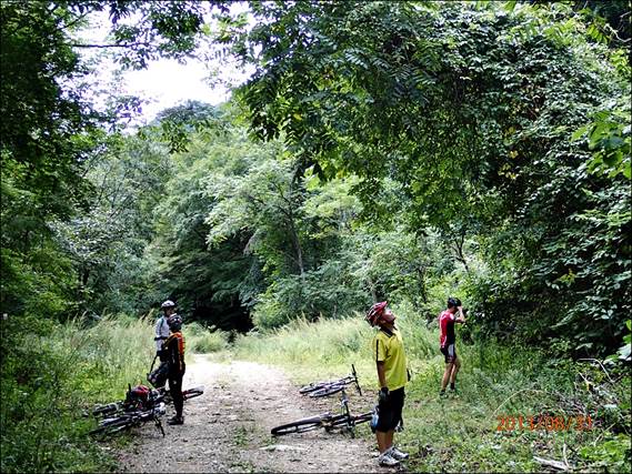 ����: ����: ����: ����: D:\Photos\2013\2013-08-31_����_��ġ�ɼ�ȯ\output_1024\P8310025.JPG