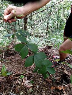 ����: ����: ����: ����: D:\Photos\2013\2013-08-31_����_��ġ�ɼ�ȯ\output_1024\P8310080.JPG