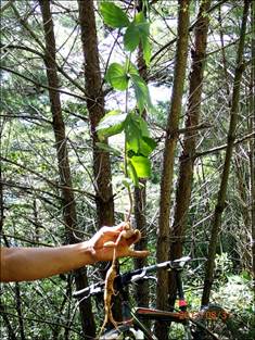 ����: ����: ����: ����: D:\Photos\2013\2013-08-31_����_��ġ�ɼ�ȯ\output_1024\P8310082.JPG