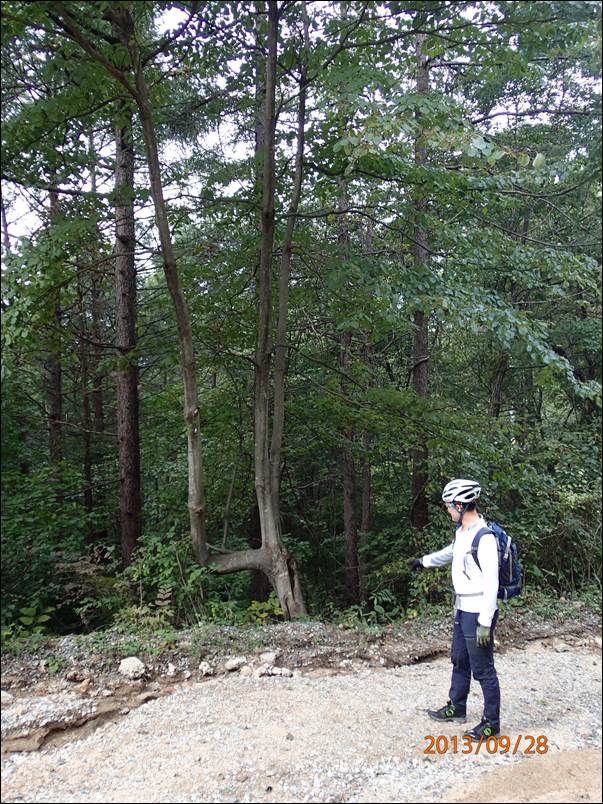 ����: ����: ����: ����: C:\Users\sepira\Desktop\2013-09-28_û�»��ȯ\P9280026.JPG