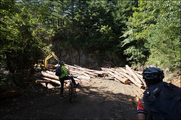 ����: ����: D:\Photos\2013\2013-10-04_�¹�������̵�\DSC06021.JPG