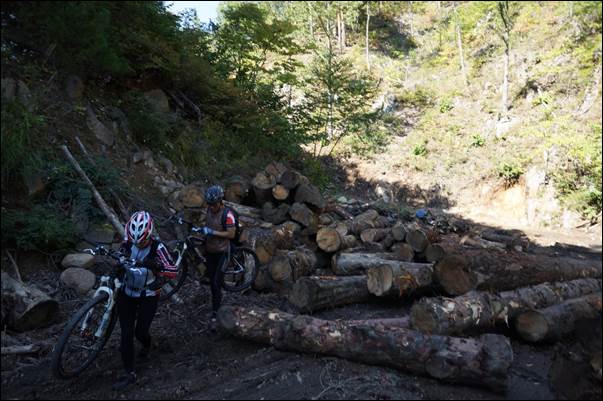 ����: ����: D:\Photos\2013\2013-10-04_�¹�������̵�\DSC06022.JPG