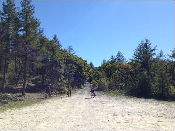 ����: D:\Photos\2013\2013-10-04_�¹�������̵�\IMG_0972.JPG