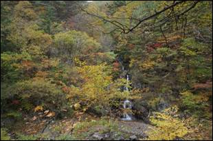 ¼³¸í: ¼³¸í: D:\Photos\2013\2013-10-19_¹Ìõ°ñ¼øÈ¯\DSC06087.JPG