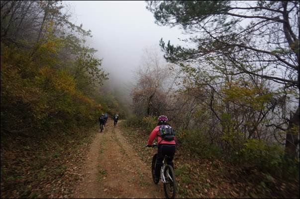 ¼³¸í: ¼³¸í: D:\Photos\2013\2013-10-19_¹Ìõ°ñ¼øÈ¯\DSC06126.JPG