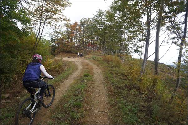 ¼³¸í: ¼³¸í: D:\Photos\2013\2013-10-19_¹Ìõ°ñ¼øÈ¯\DSC06149.JPG