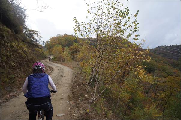 ¼³¸í: ¼³¸í: D:\Photos\2013\2013-10-19_¹Ìõ°ñ¼øÈ¯\DSC06161.JPG